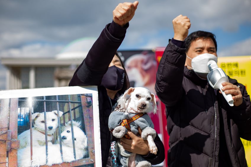 south korea struggles to address historic dog meat trade while becoming cultural power