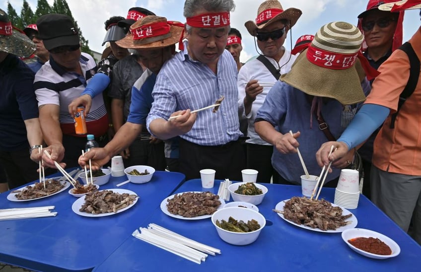 south korea struggles to address historic dog meat trade while becoming cultural power