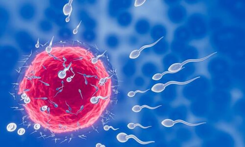 sperm count has declined almost 50 in men across the globe in recent decades