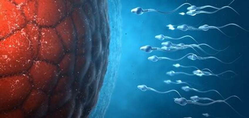 sperm count has declined almost 50 in men across the globe in recent decades