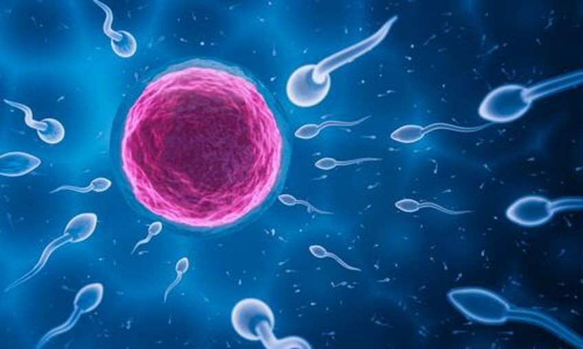 sperm count has declined almost 50 in men across the globe in recent decades