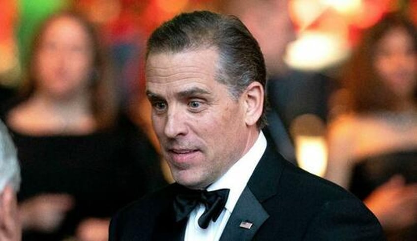 sperry did hunter biden lie in his own memoir to protect the family