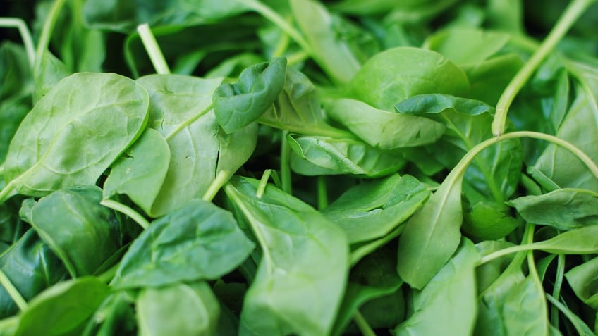 spinach vs kale which is better for you nutritionists settle the great debate