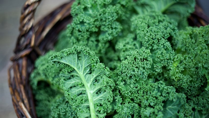 spinach vs kale which is better for you nutritionists settle the great debate