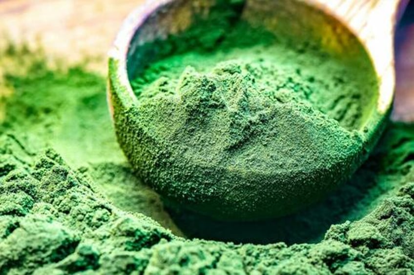 spirulina significantly reduces covid 19 mortality study