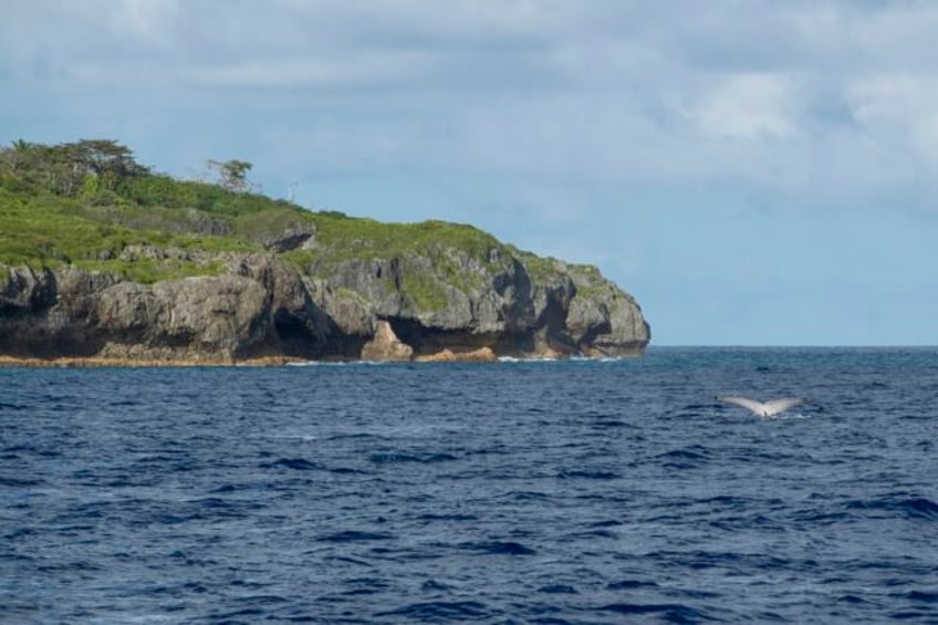 sponsor an ocean tiny island nation of niue has a novel plan to protect its slice of the pacific