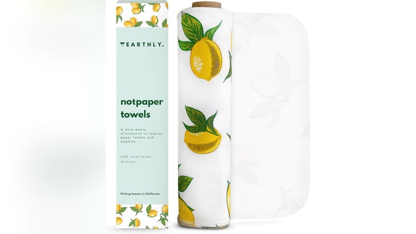 spring clean your home with these 10 sustainable products