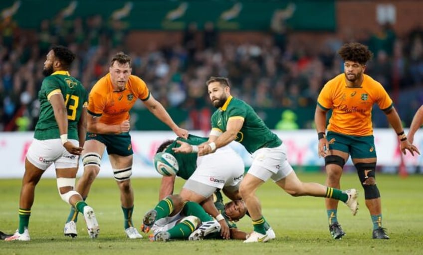 springboks name four scrum halves to play romania