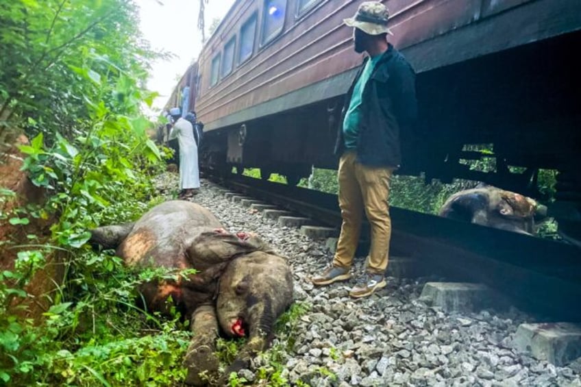 Six elephants died after a train hit them on the tracks and then derailed at Habarana in e