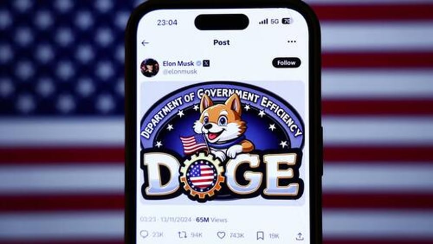 states follow musks lead with bold doge like initiatives