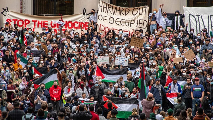 Harvard anti-Israel protest