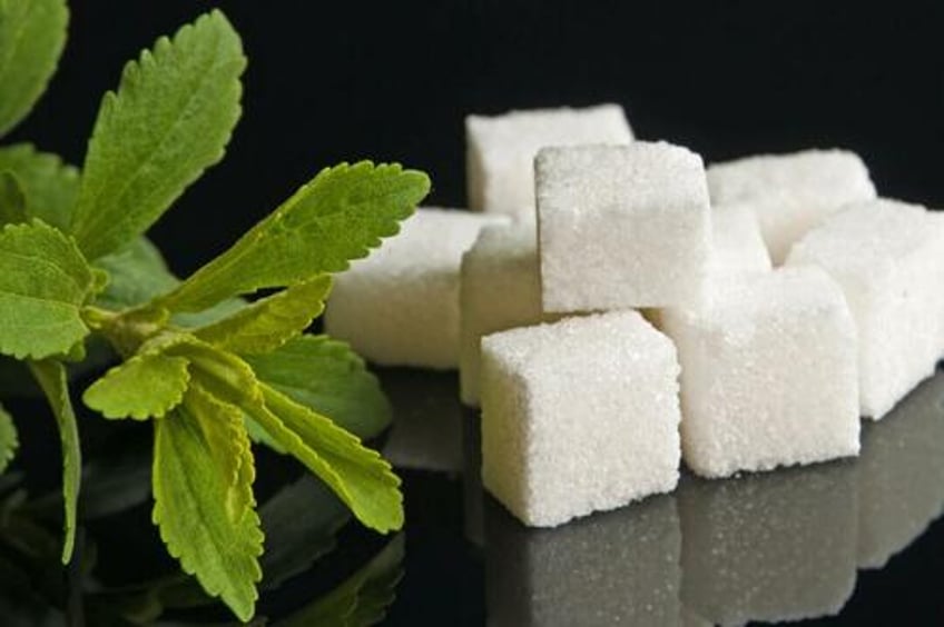 stevia has potential side effects on gut microbiome and brain but experts explain bottom line