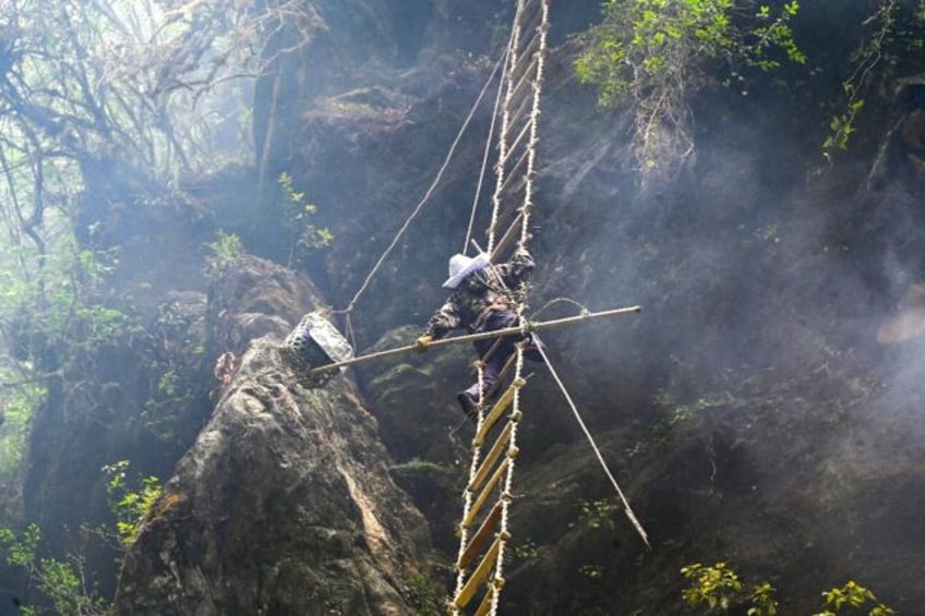 Nepali climbers hang from a ladder off a Himalayan mountain cliff to gather highly prized