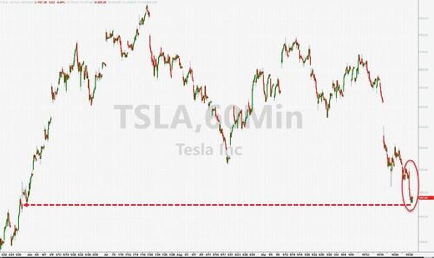 stocks jump everything else dumps