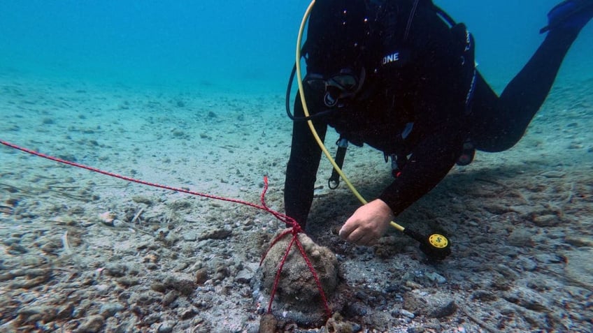 Scuba diver on ocean floor