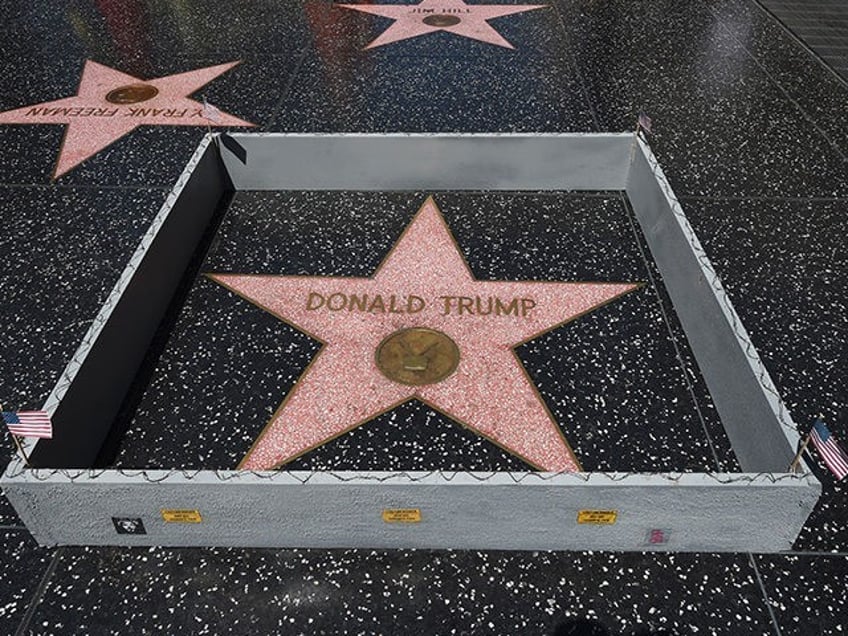 street artist erects mini border wall around donald trumps hollywood star