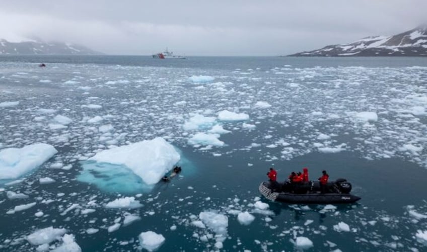 Scientists have warned that rising ocean temperatures are impacting whales' body clock and