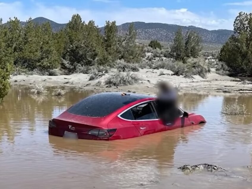 submarine mode full self driving software guides tesla into california floodwater pond