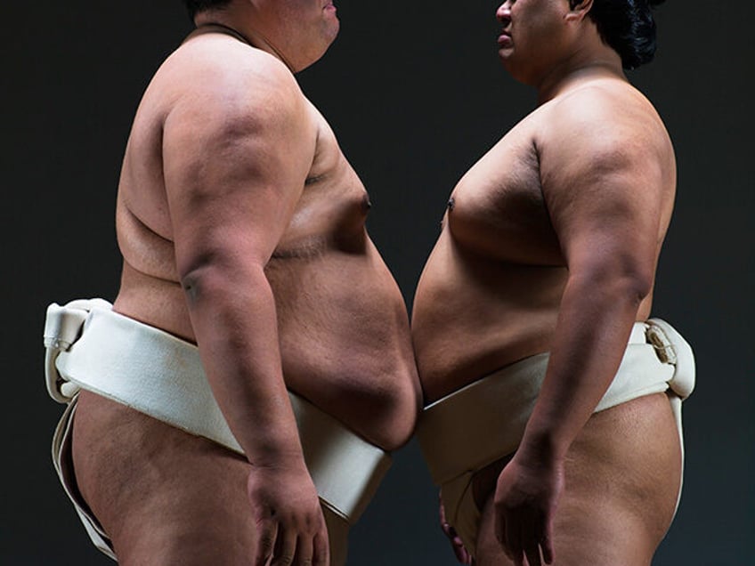 sumo wrestler group deemed too heavy to fly airline books extra flight