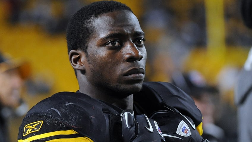 Rashard Mendenhall vs Patriots