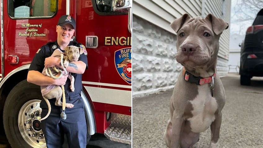 Firemen-adopts-dog-split