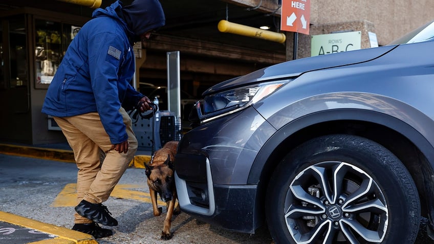 Bomb-sniffing dogs search cars