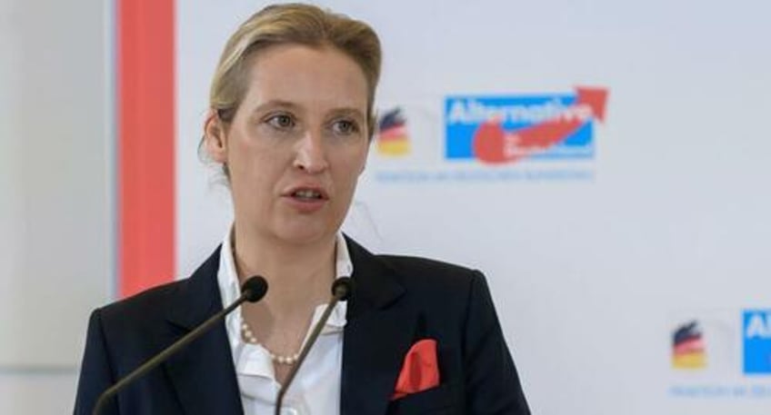 support for germanys afd continues to soar amid calls for election ban by political opponents