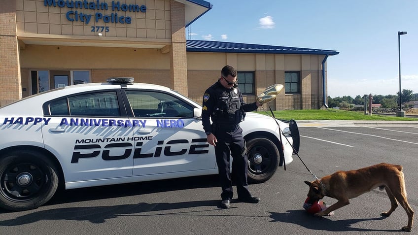 supreme court asked to decide if police dog committed an illegal search by putting paws on car