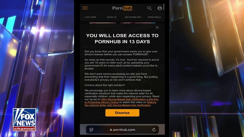 supreme court upholds texas law requiring age verification on porn websites