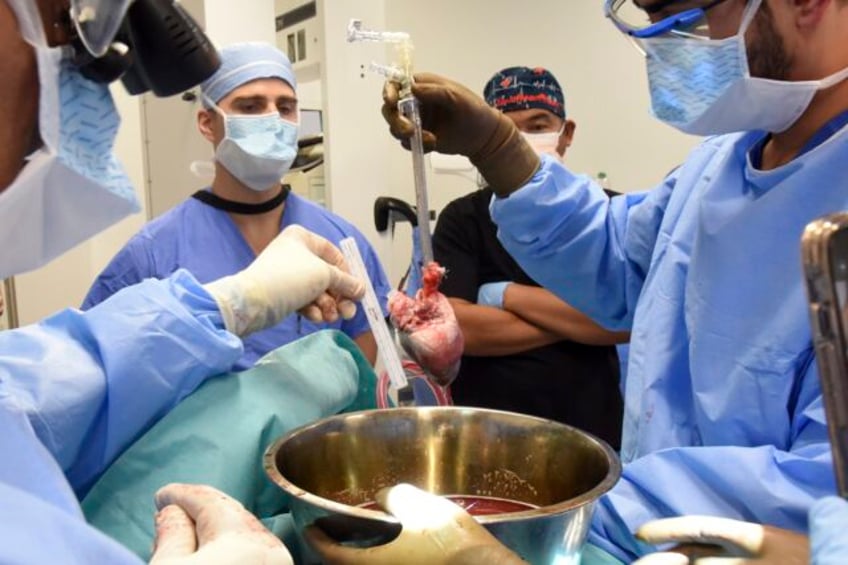 surgeons perform second pig heart transplant trying to save a dying man