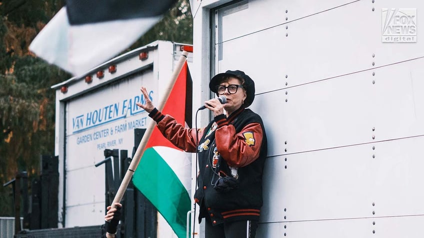 Actress Susan Sarandon speaks at a pro-Palestine rally at Union Square in New York City