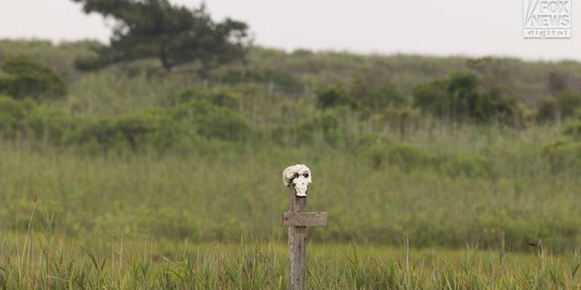 suspected long island serial killers duck hunting could have been perfect cover for hiding bodies