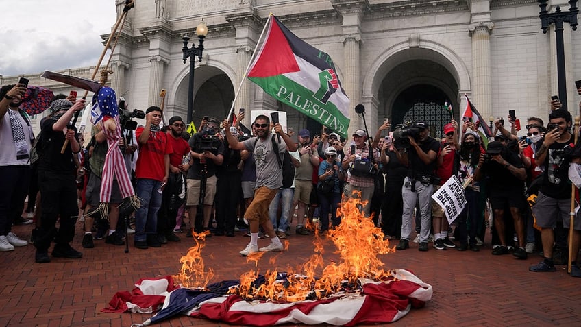 Pro-Palestinian-demonstrators