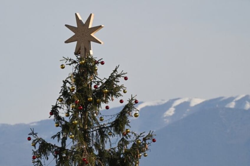 Sweden's food safety agency says eating Christmas tree needles can be safe