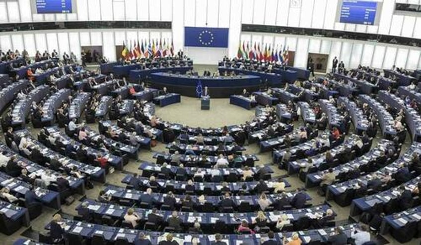 swedish mep slams anti semitic accusations of israeli terrorism by batshit crazy left