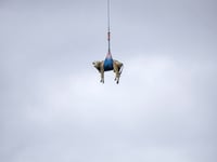 Swiss evacuate livestock by hoof and helicopter because of landslide risk over Alpine village