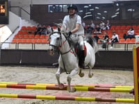 Syrians chase equestrian glory in sport once dominated by Assads