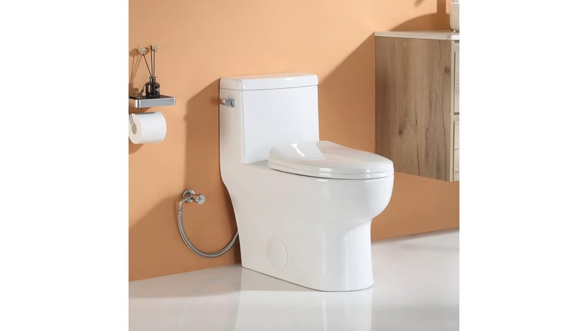 Get a new toilet that's easier to clean. 