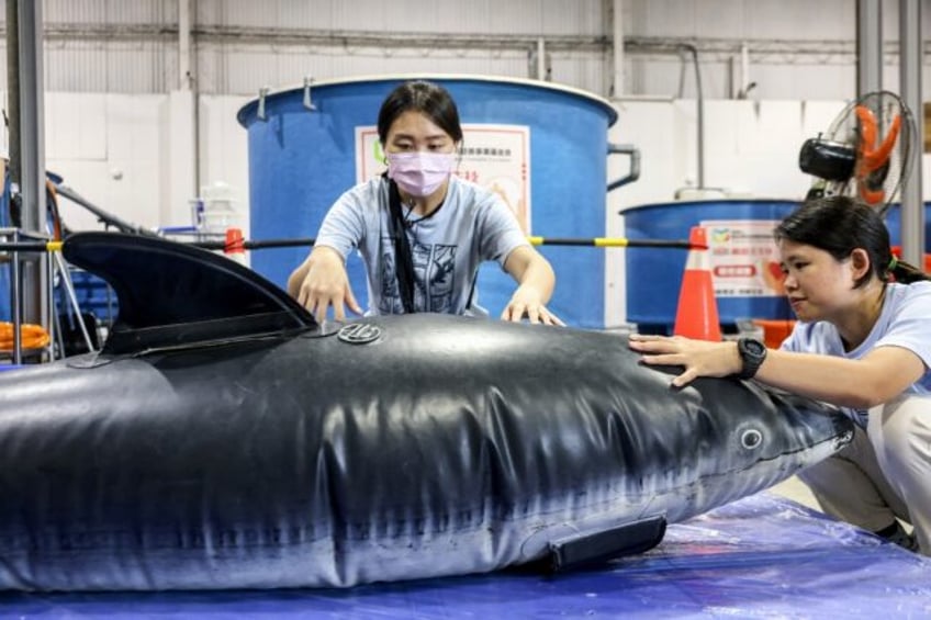 Taiwan Cetacean Society official Wu En-Hua (left) uses an inflatable whale to demonstrate