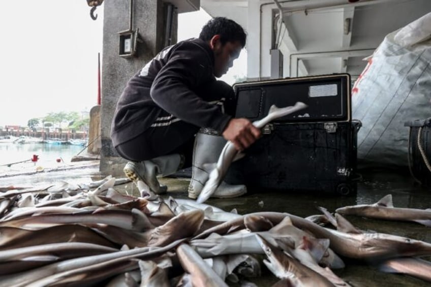 Fishermen in Kinmen said there was 'no real impact' from China's two-day military drills