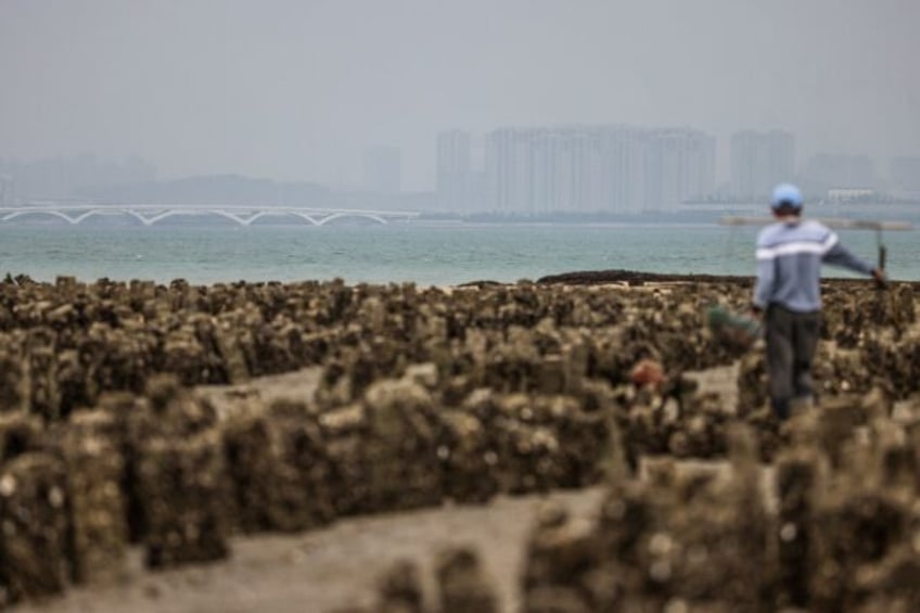 "These centuries-old oyster beds not only produce food, they represent a culture and a his