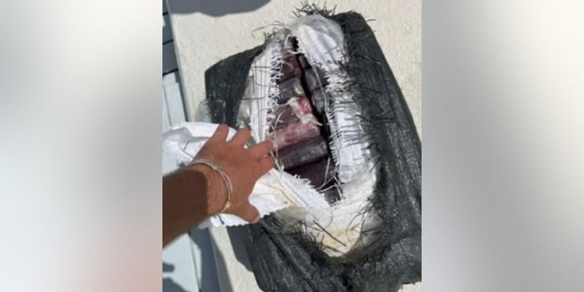 tampa mayor catches 11m worth of cocaine while fishing in florida keys with family