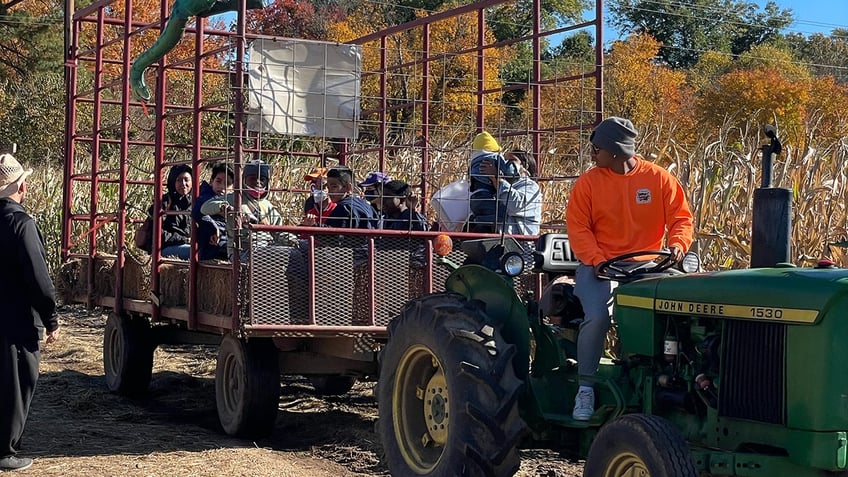 Maryland Corn Maze