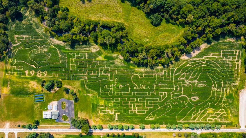 Taylor-Swift-Corn-Maze-Photo-Ohio