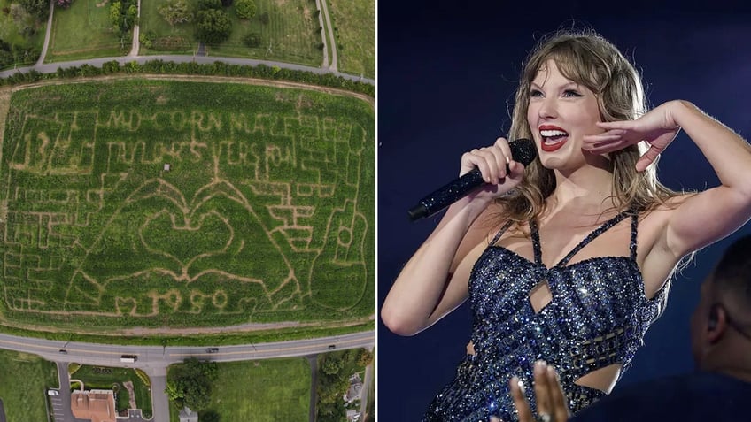 Taylor-Swift-corn-mazes split