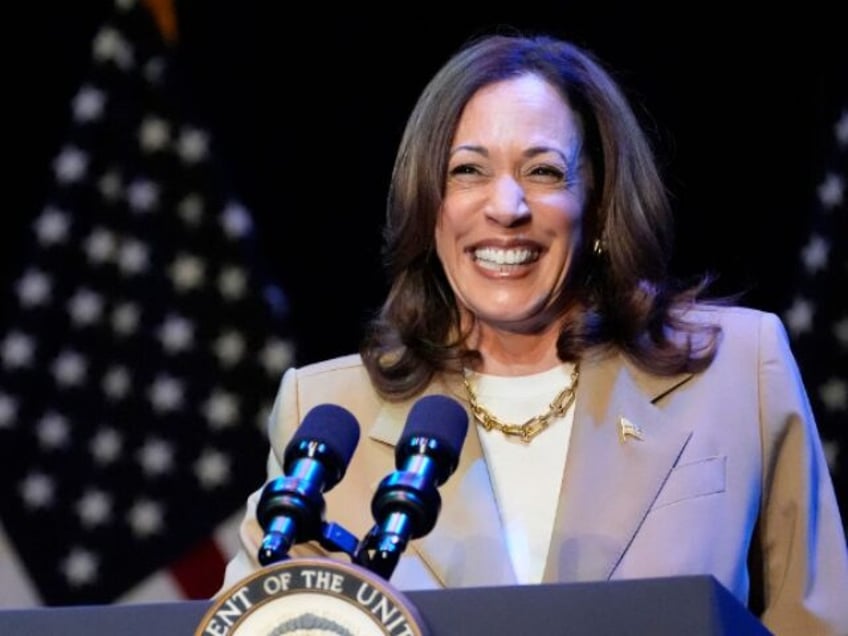 US Vice President and Democratic presidential candidate Kamala Harris speaks during a camp