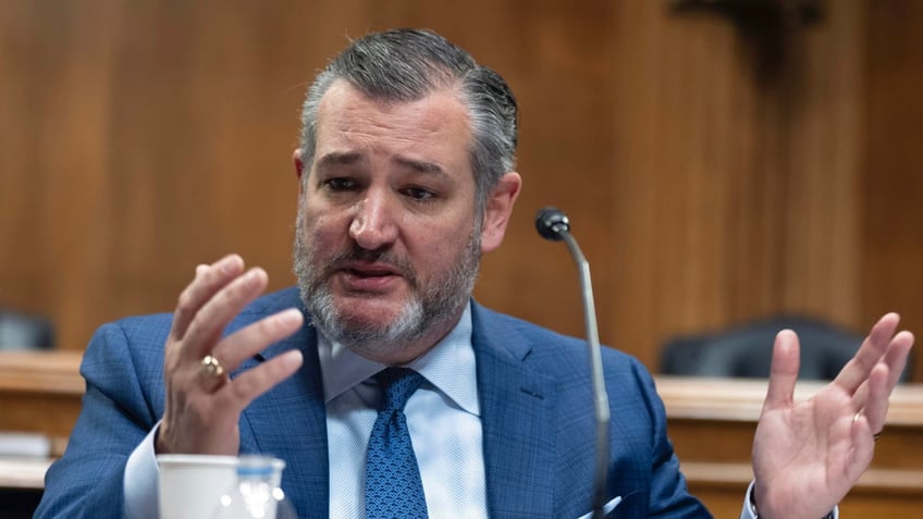 ted cruz unleashes on biden dems over repulsive protests says us lacking real presidential leadership