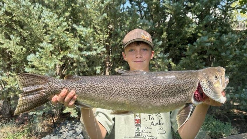 jaxon krall trout