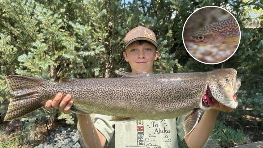 jaxon krall tiger trout fishing record holder in Wyoming