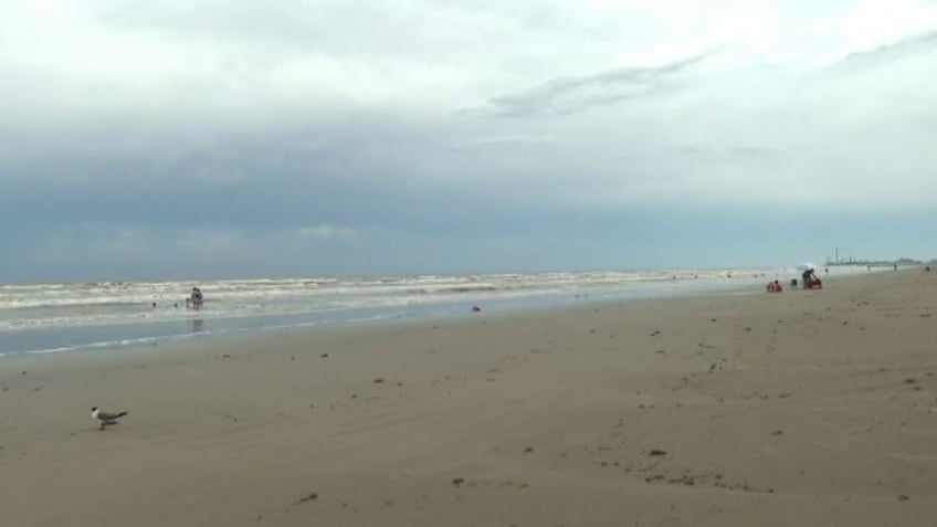 beach in Galveston